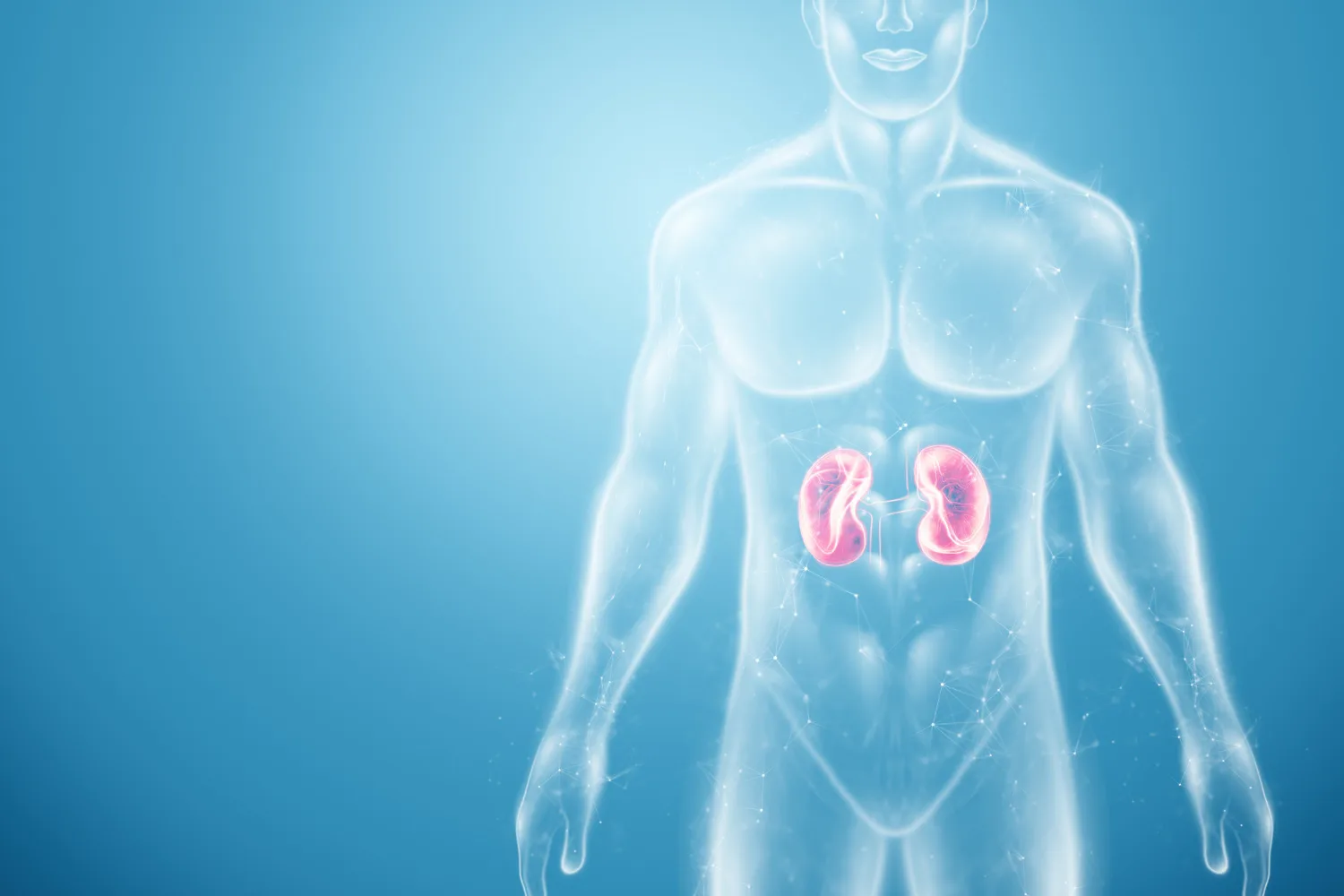 Biopsia renal